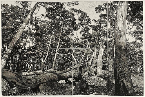 David Frazer The Tangled Wood (composition I) 2018 etching 80 x 120 cm