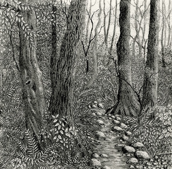 The path through the woods