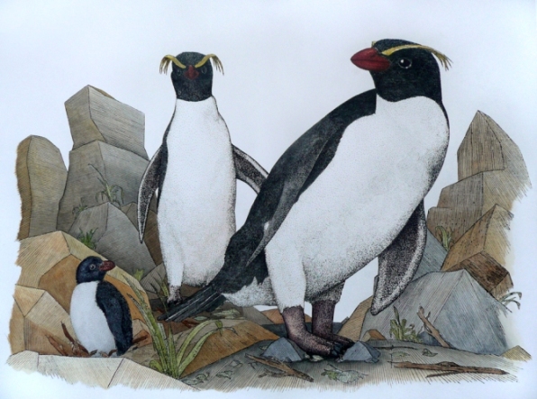 Fiordland penguins