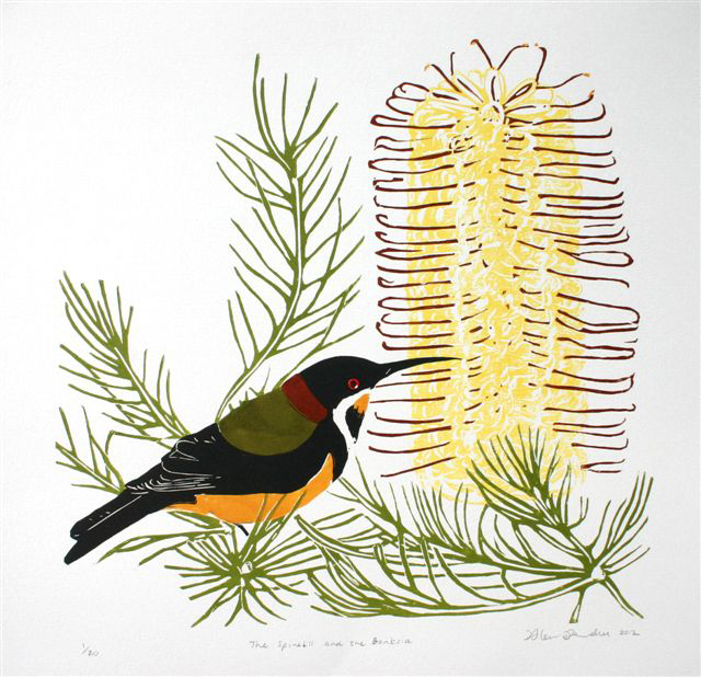 The Spinebill and the banksia