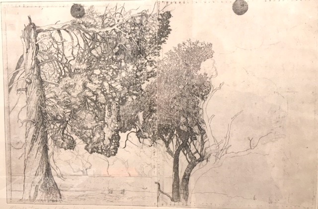 Mungo trees and two black suns (study)
