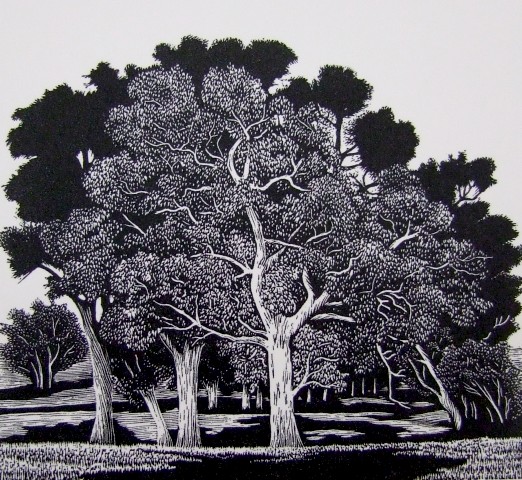 Trees – Sutton Grange