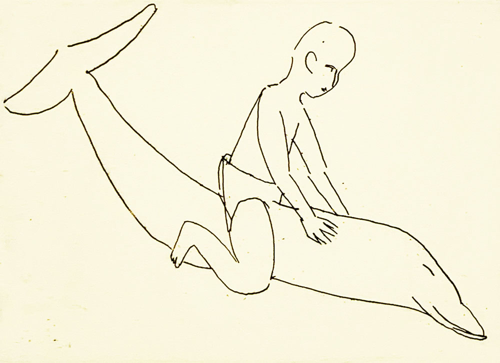 Dolphin boy