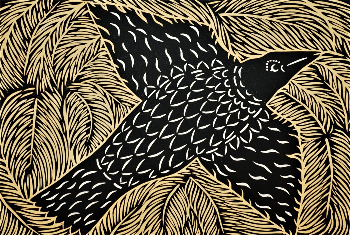 Balinese crow