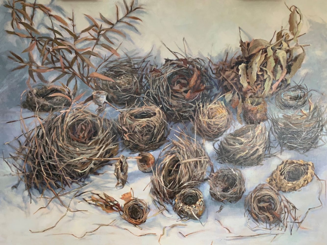 20 Nests Habitat 100