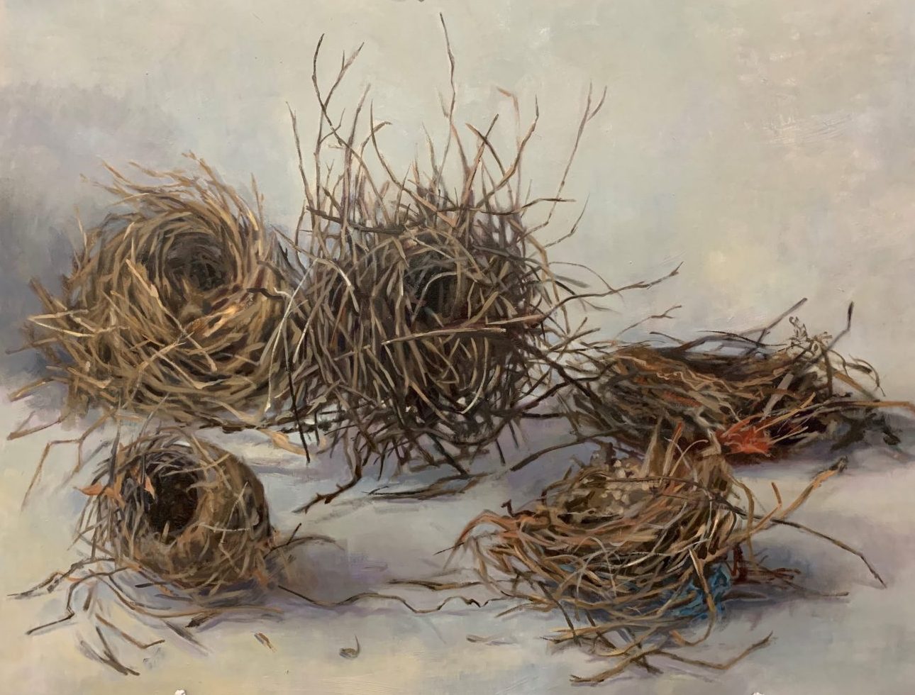 5 nests habitat 101
