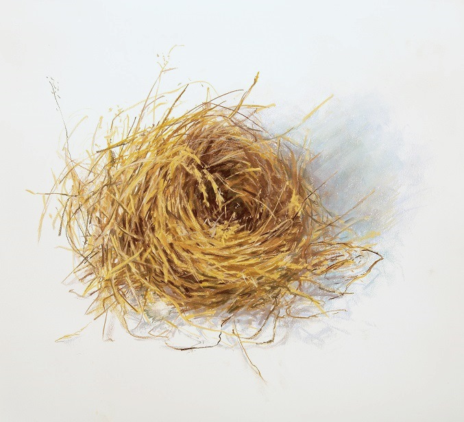 Habitat 110 – grass nest