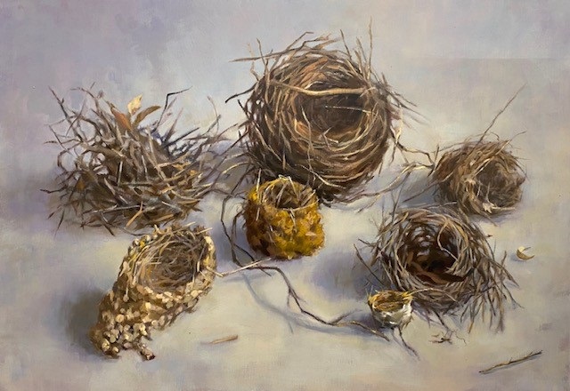 Habitat 107 – seven nests