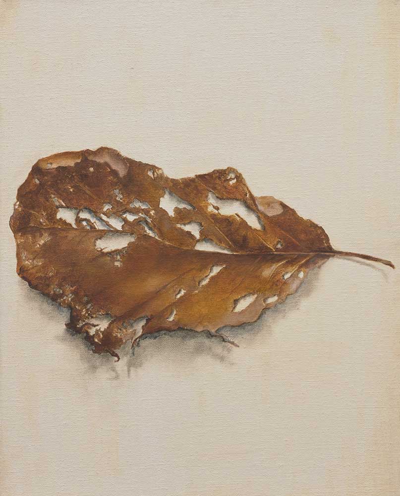 Autumn leaf I