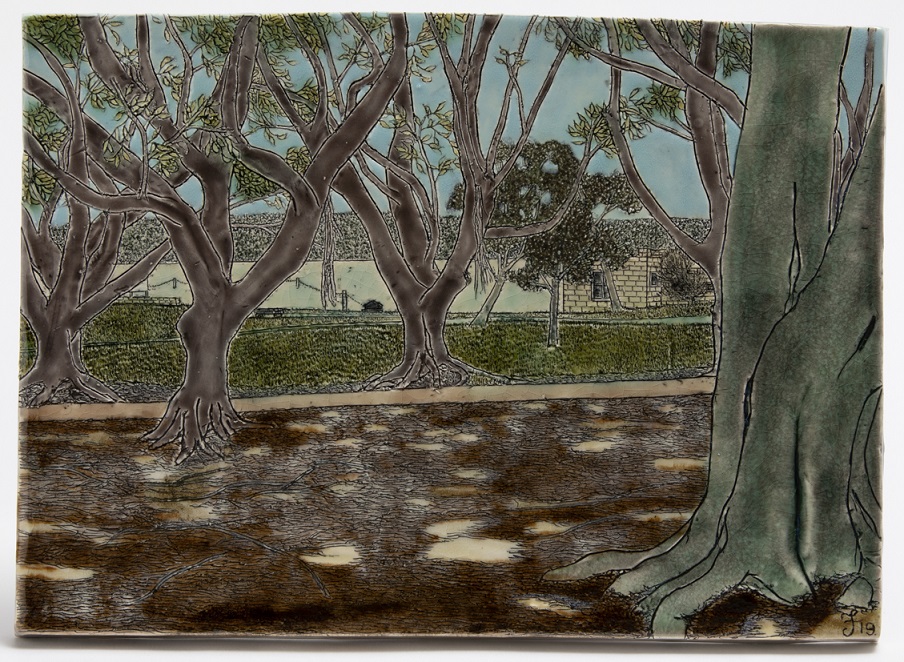 The avenue of figs (Nielsen Park)