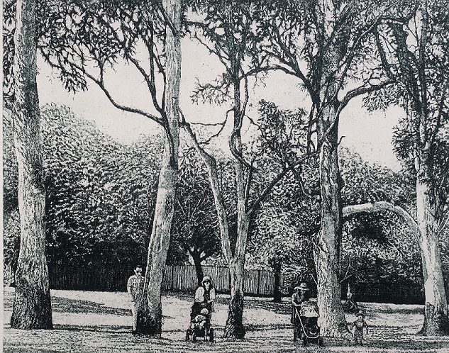 Parked Life – strolling through socially-distanced trees, Seville Park, April 2020