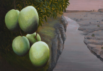 Green mangoes