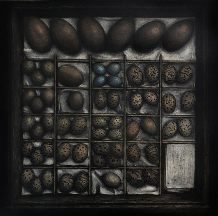 Angus Fisher