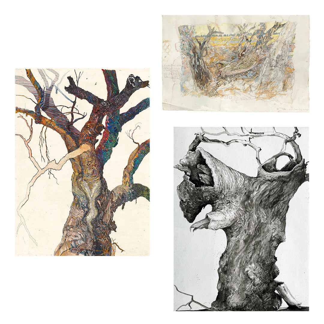 Riverine - Three old etchers and the ancient trees of the Wimmera