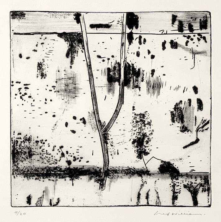 Black and White: Etchings, Lithographs and Linocuts