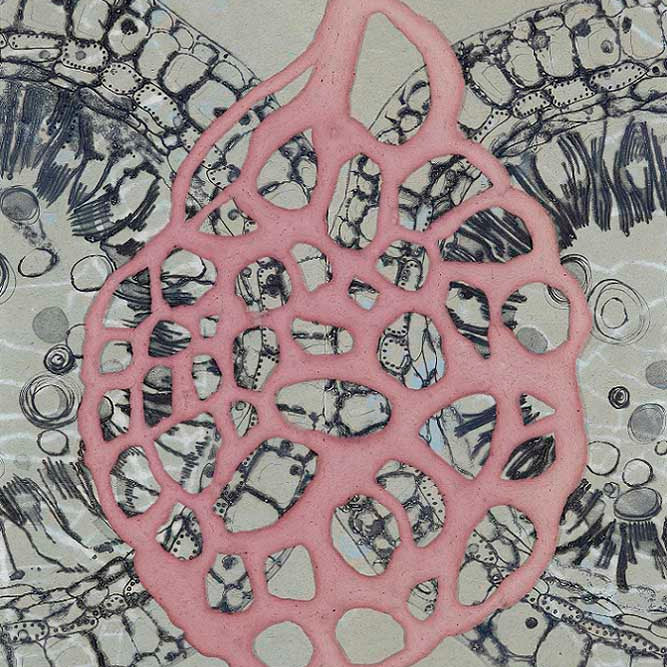 Winsome Jobling DS26