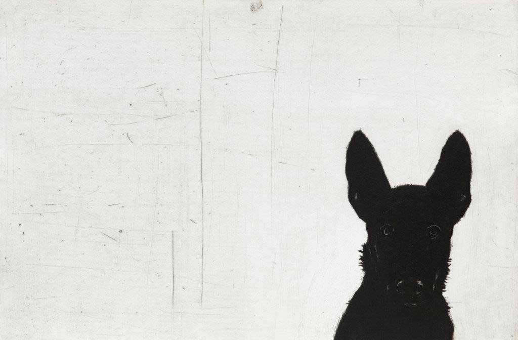 Deborah Williams SR26