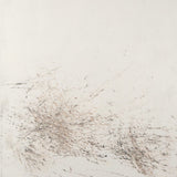 Burnt scrub trace no.I Allocasuarina 2002