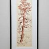 The Red Pine - Looking up to Stuart in the Glen Nevis Range 2026