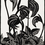 Greenhood orchids 2026