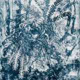 Lyrebird Nest 2026