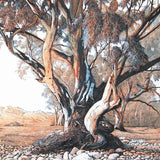 Riverbed 2001