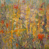 Midday summer: Australian wildflowers 2025