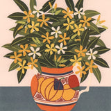 Clarice's jug 2019