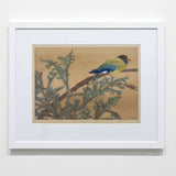 TSUCHIYA RAKUSAN (1896 – 1976) Cyprus and Dollar Bird, 99 in the series 'Rakuzan Kachou Gafu' (100 Series) 1934-35