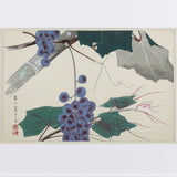 TSUCHIYA RAKUSAN (1896 – 1976) Grapes 1934-41