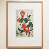 KAWARAZAKI SHODO (1889 – 1973) Red camellias  c. 1950