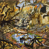 Painted Pool, Richardson River 2026