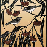 Thornbill and flowering gum 2016