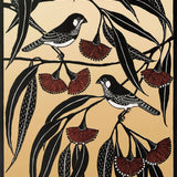 Zebra finch and flowering gum 2016