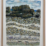 Casuarina tree on the isthmus  2025