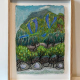 Banksias parrot burst  2024