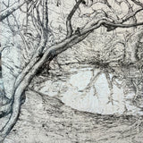 Deep Richardson River 2026