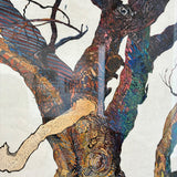 Wimmera Scar Gum/Achilles 2025