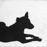 An animal observed 2012