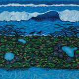 Octopus and oystercatchers  2025