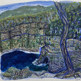 Waterfall Bay tree cliff  2025