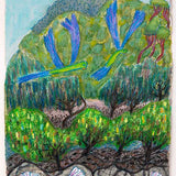 Banksias parrot burst  2024