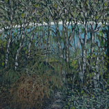 Freycinet Summer walk 2026