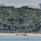 Looking out at Lime Bay  2025