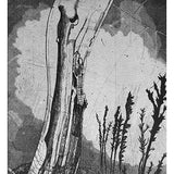 Elsewhere world fragment No. 62 (2nd State) 2016