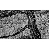 Elsewhere world fragment No. 85 (2nd State) 2018