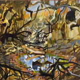 Painted Pool, Richardson River 2026