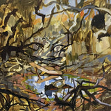 Painted Pool, Richardson River 2026