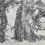 Red Gums, Richardson River panorama I 2026