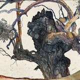 Wimmera Eucalypt (Cyclops) 2025